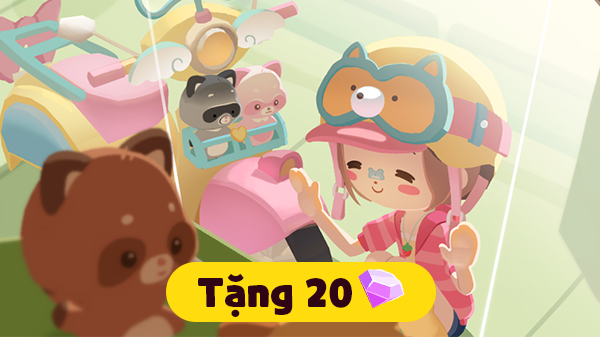 Fan gấu mèo Go go!